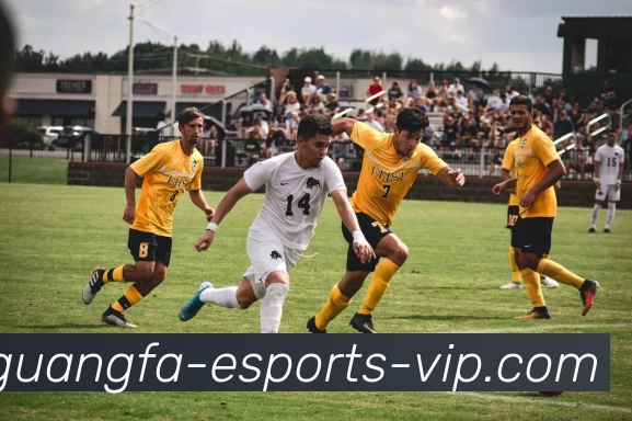 广发电竞VIPAPP 封面图